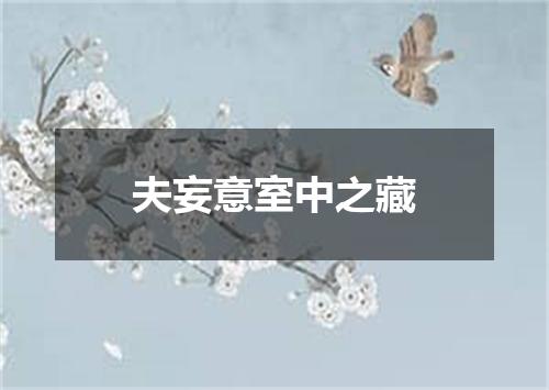 夫妄意室中之藏