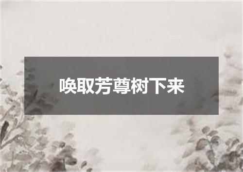 唤取芳尊树下来