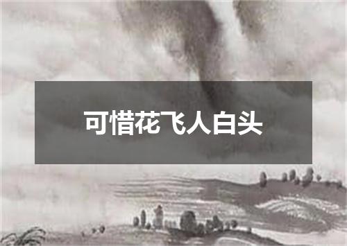 可惜花飞人白头