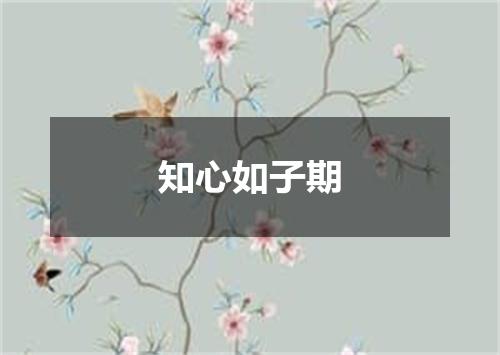 知心如子期