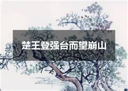 楚王登强台而望崩山