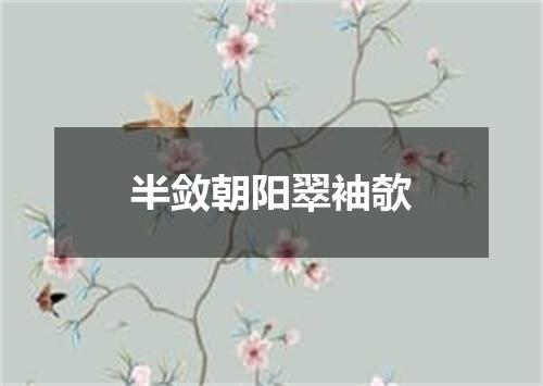 半敛朝阳翠袖欹