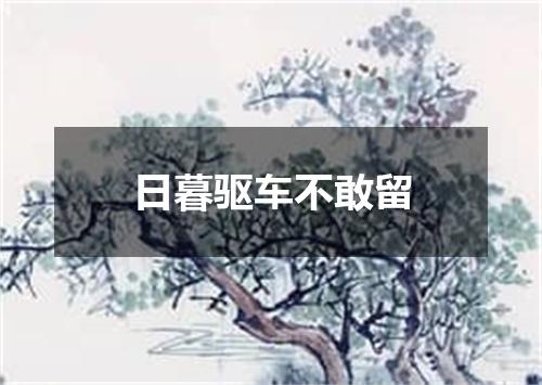 日暮驱车不敢留