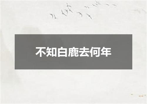 不知白鹿去何年