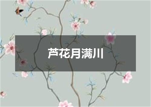 芦花月满川