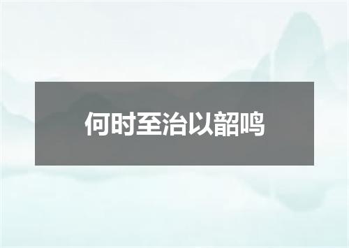 何时至治以韶鸣