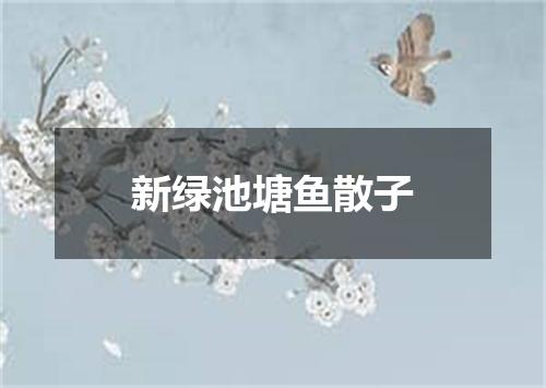 新绿池塘鱼散子