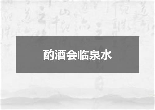 酌酒会临泉水