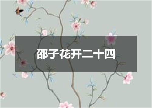 邵子花开二十四