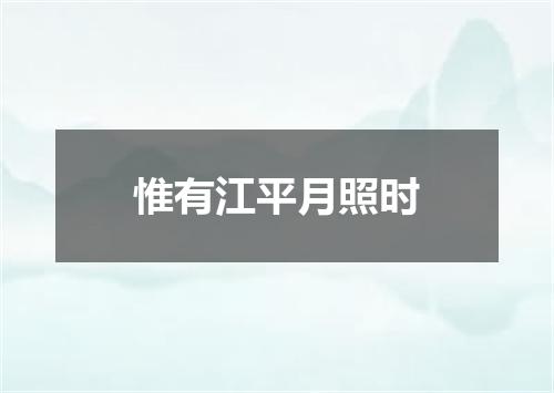 惟有江平月照时