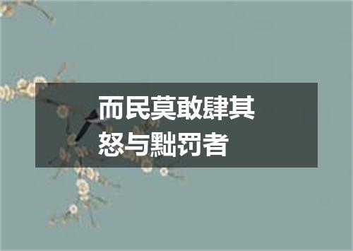 而民莫敢肆其怒与黜罚者
