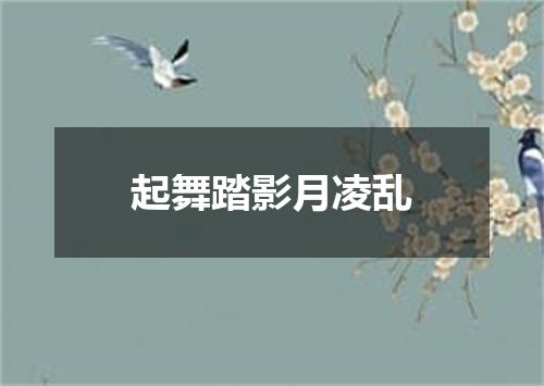 起舞踏影月凌乱