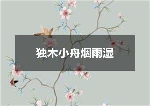 独木小舟烟雨湿