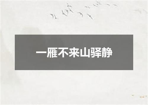 一雁不来山驿静