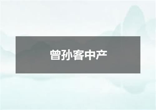 曾孙客中产