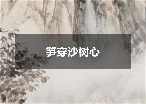 笋穿沙树心