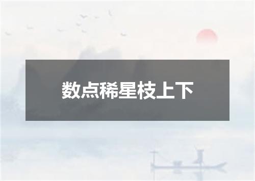 数点稀星枝上下
