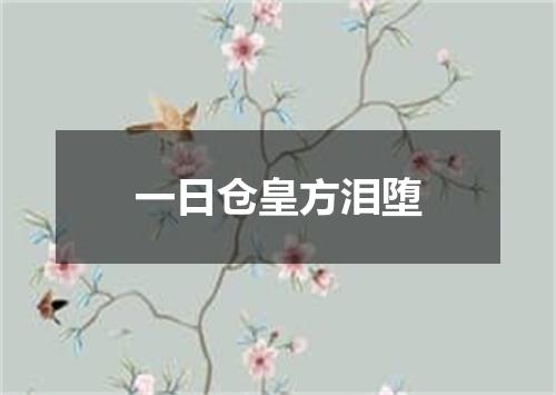 一日仓皇方泪堕