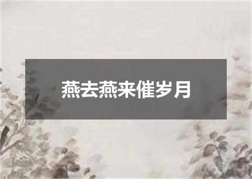 燕去燕来催岁月