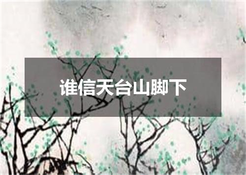谁信天台山脚下