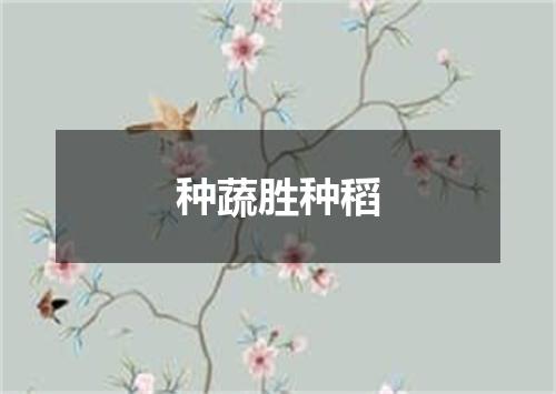 种蔬胜种稻