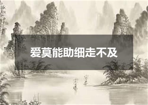 爱莫能助细走不及