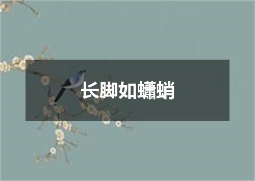 长脚如蠨蛸