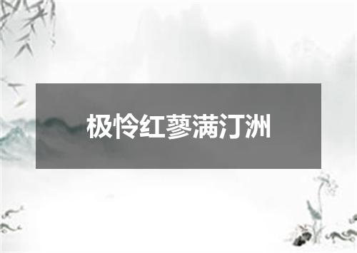 极怜红蓼满汀洲