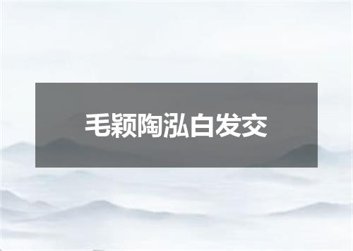 毛颖陶泓白发交