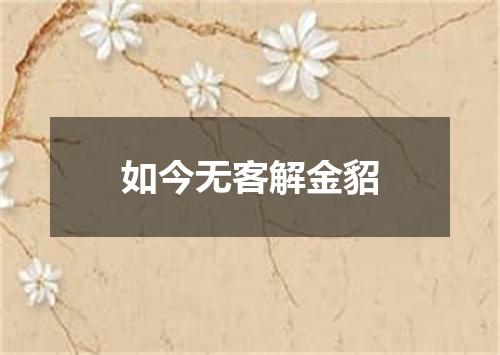 如今无客解金貂