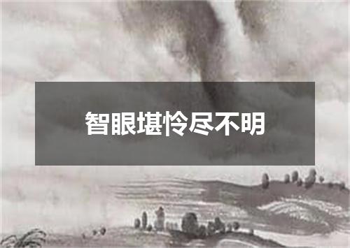 智眼堪怜尽不明