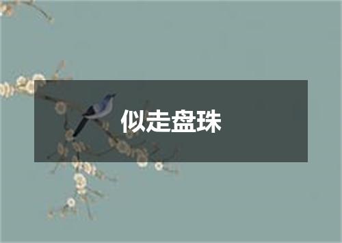 似走盘珠
