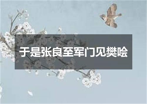 于是张良至军门见樊哙