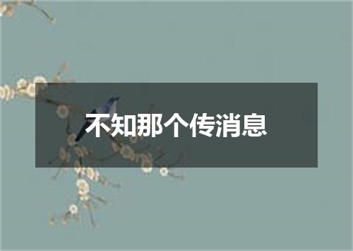 不知那个传消息