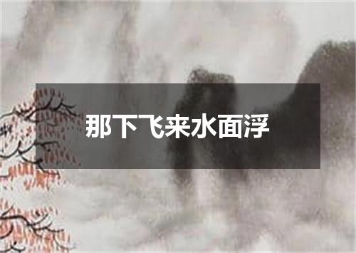 那下飞来水面浮