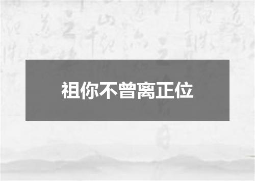 祖你不曾离正位