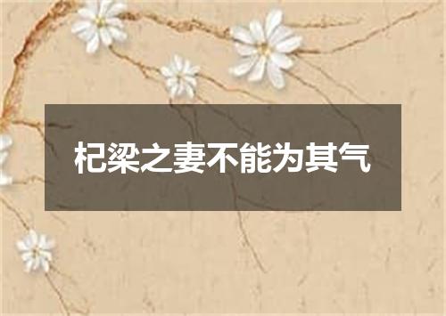 杞梁之妻不能为其气