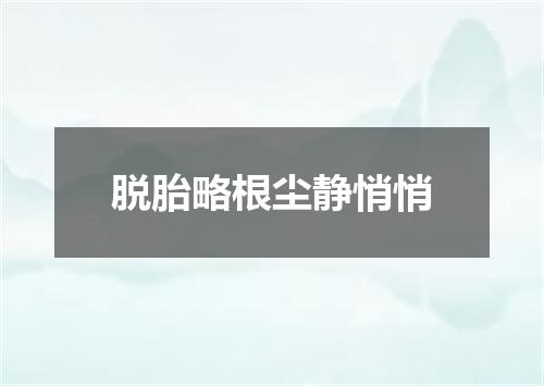 脱胎略根尘静悄悄