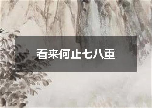 看来何止七八重