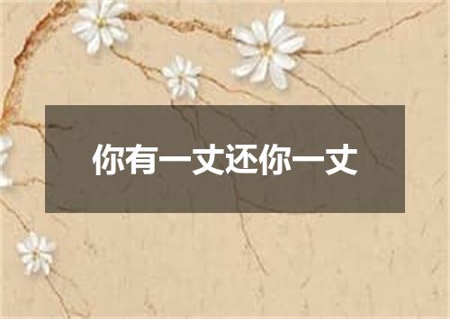 你有一丈还你一丈