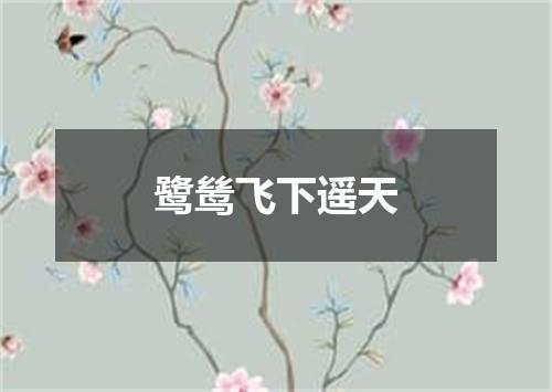 鹭鸶飞下遥天