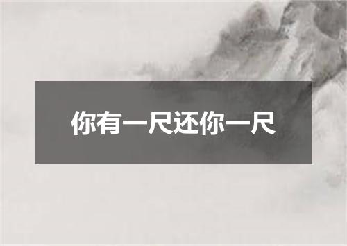你有一尺还你一尺