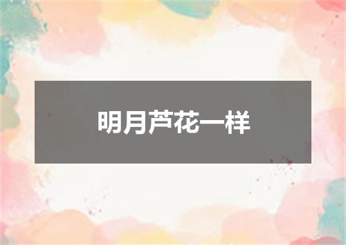 明月芦花一样