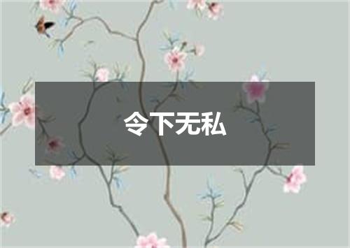 令下无私