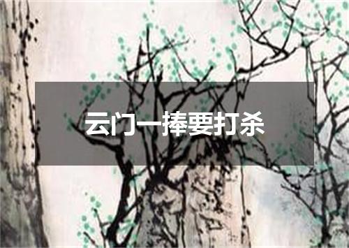 云门一捧要打杀