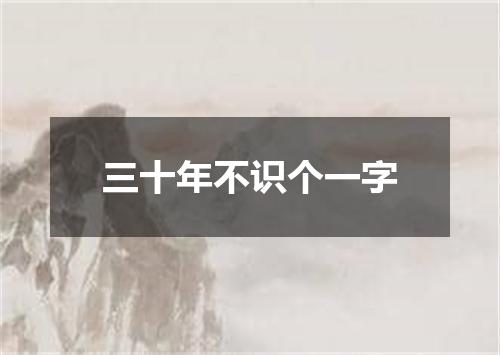 三十年不识个一字