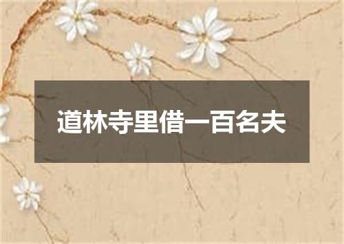 道林寺里借一百名夫