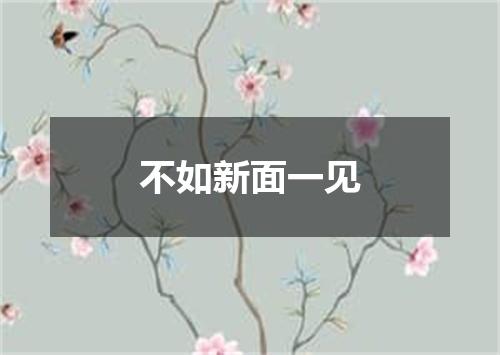 不如新面一见