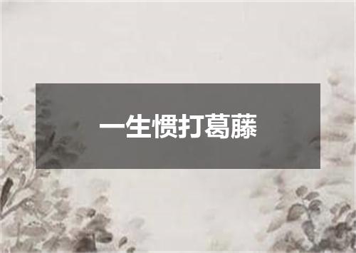 一生惯打葛藤
