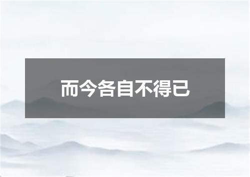 而今各自不得已